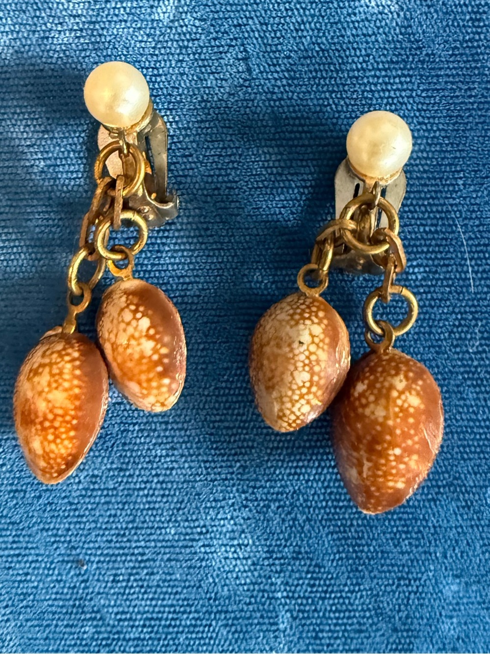Shell Drop Clip-On Earrings in Brown and Cream